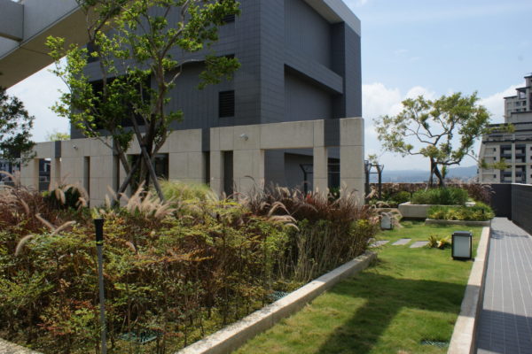 SONY DSC